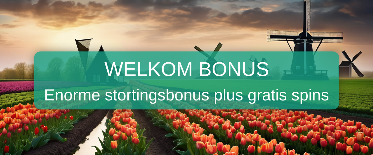 Love Casino Nederland